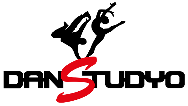 Danstudyo Logo